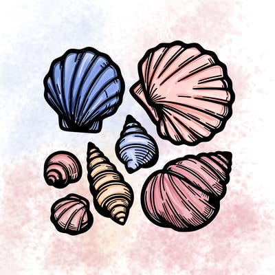 shells
