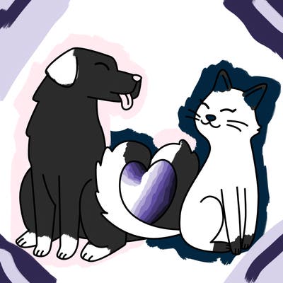 animals_22