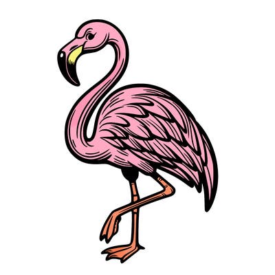 flamingo