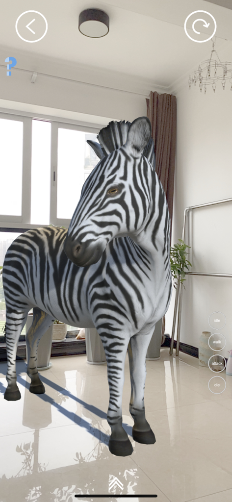 Real AR Zoo - Real AR Zoo 앱을 사용하여 거실에 나타난 사실적인 3D 얼룩말.