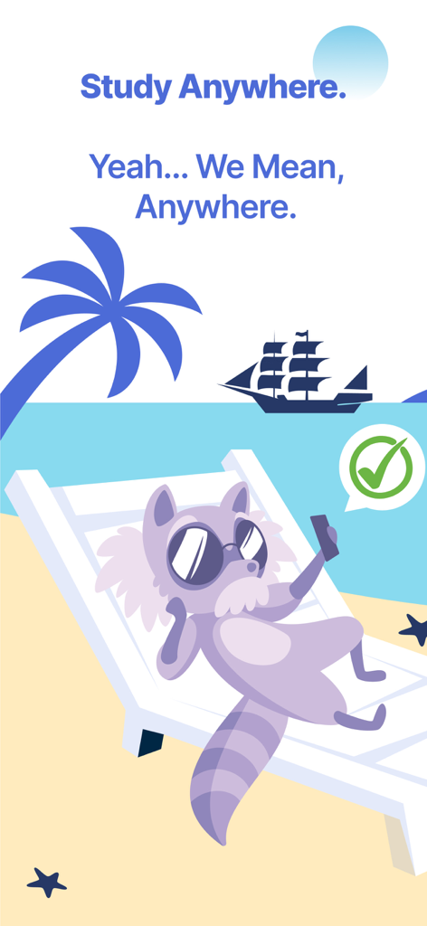 NCE Exam Prep 2026 | EZPrep - Ein Cartoon-Waschbär mit Sonnenbrille, der auf einem Liegestuhl für die NCE-Prüfung lernt