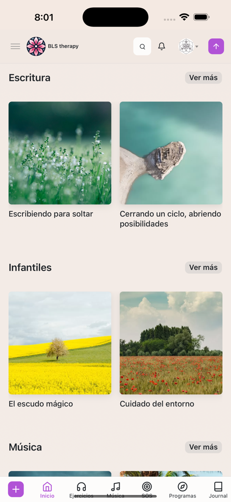 BLS therapy - BLS Therapy app home screen showing wellness categories for meditation and writing