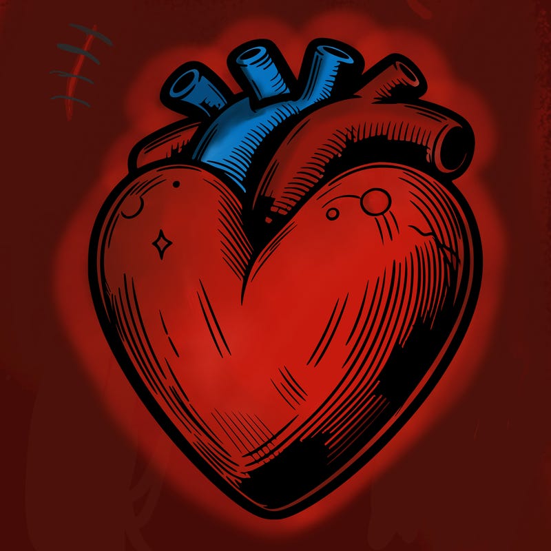 realistic heart
