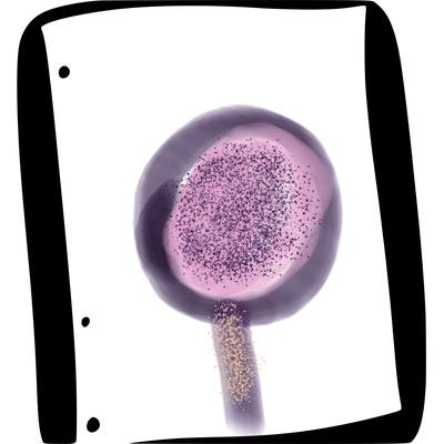 blank white page with nothing drawn on it