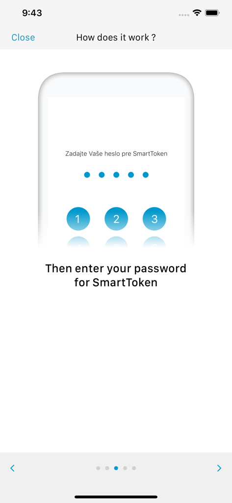 CSOB SmartToken password entry screen instruction