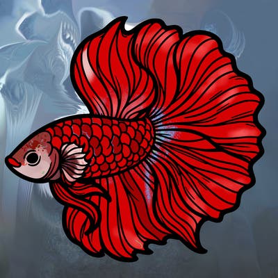 betta fish