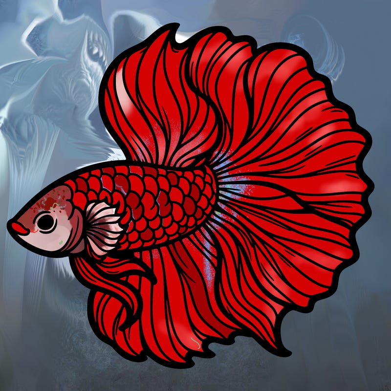betta fish