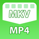 MKV to MP4 Converter