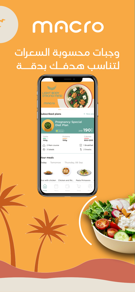 Application mobile Try Macro affichant un tableau de bord de plan de repas personnalisé avec suivi des calories et des macros pour un mode de vie sain.