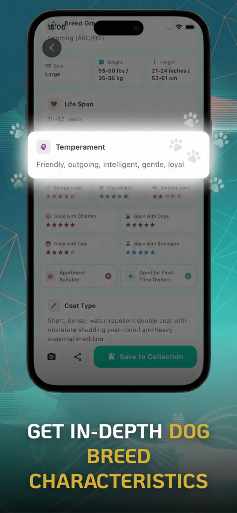 Dog Breed Identifier | Scanner - Mobile app screen showing detailed dog breed characteristics like temperament and care ratings