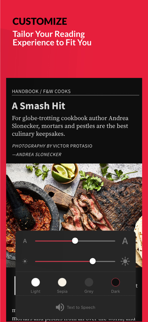 FOOD & WINE - Menu de personalização de leitura no aplicativo FOOD and WINE mostrando opções de tamanho de fonte, brilho e temas de cores