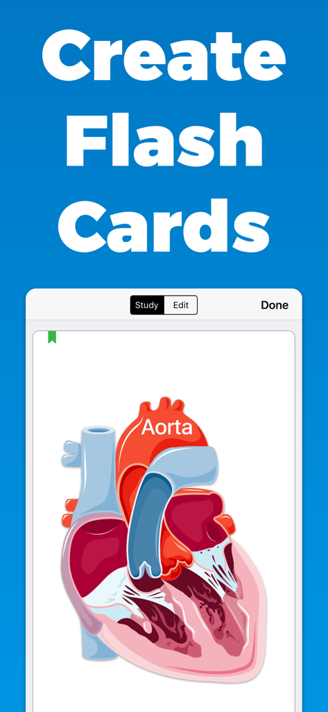 Flash Cards GO - Flashcards - Interfaz de la aplicación Flash Cards GO que muestra una tarjeta de memoria de diagrama de anatomía del corazón humano con la aorta etiquetada