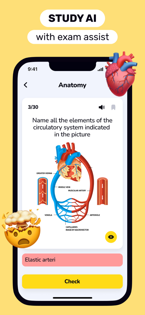Flashcards Maker: Study Clever - Flashcards Maker App-Oberfläche, die ein Anatomie-Quiz mit einem Kreislaufsystemdiagramm und KI-Unterstützung zeigt.