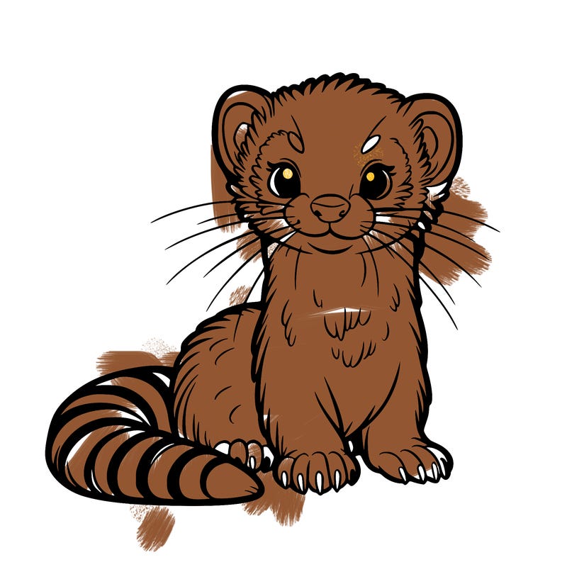 ferret