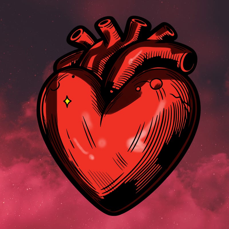 realistic heart
