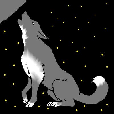 animals_36