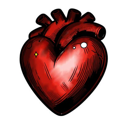 realistic heart