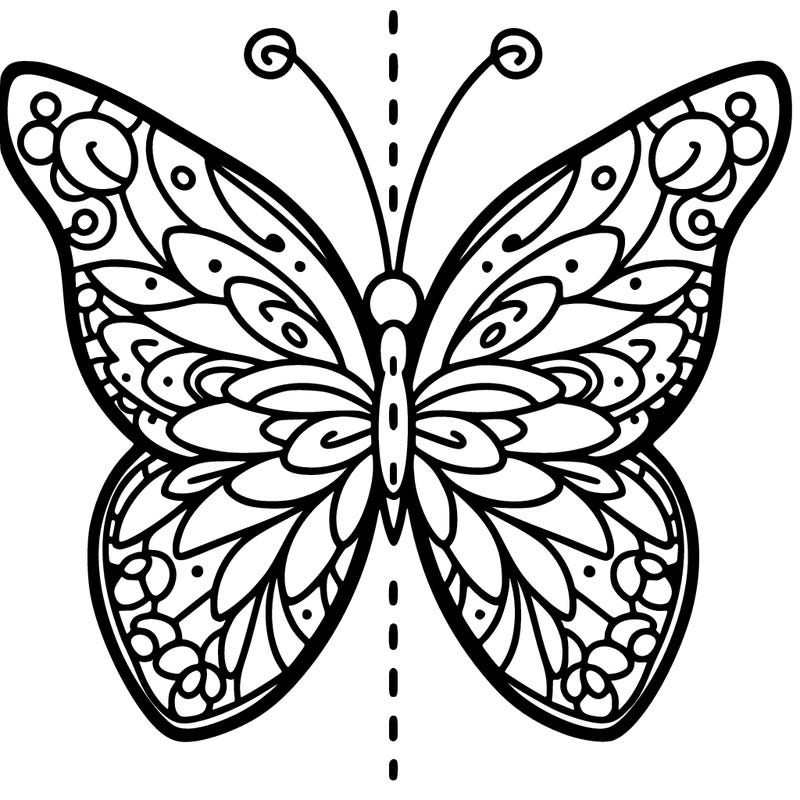 butterfly split