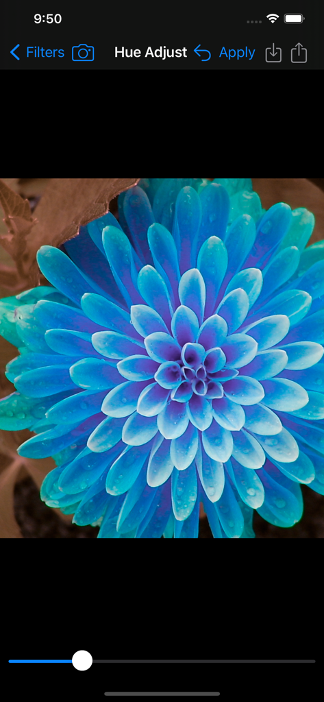 Interface do filtro de Ajuste de Matiz com uma flor azul no Image Filters Photo Editor