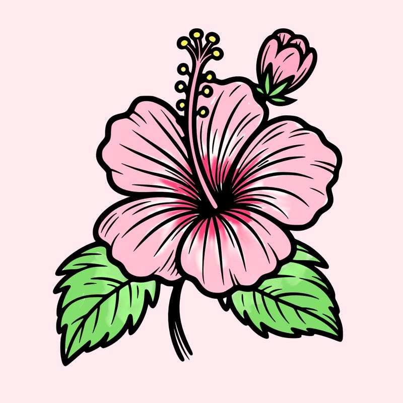hibiscus flower