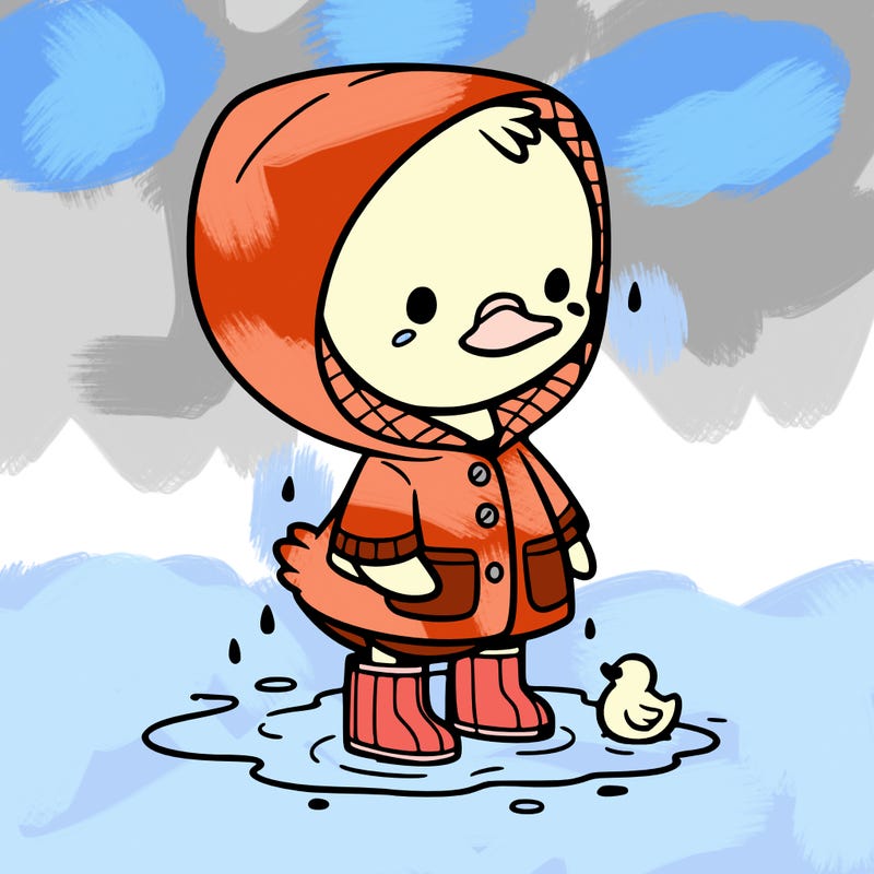 baby duck in a rain coat and boots, in a puddle while it’s raining
