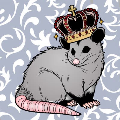 crown opossum