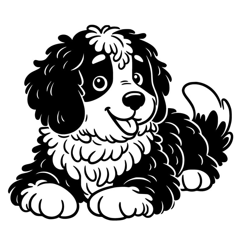 bernedoodle