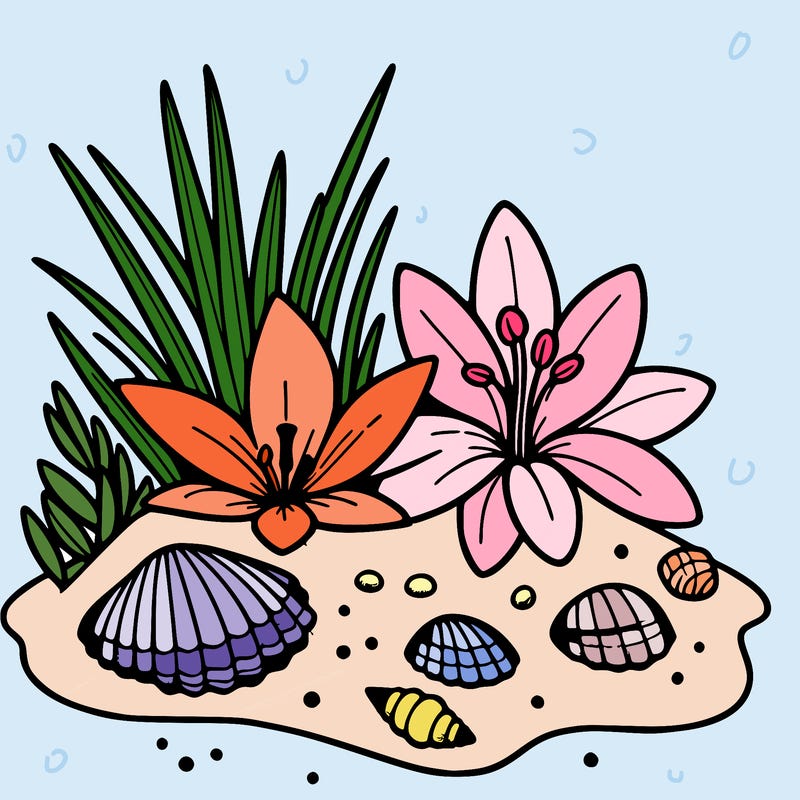sand, lily, shells