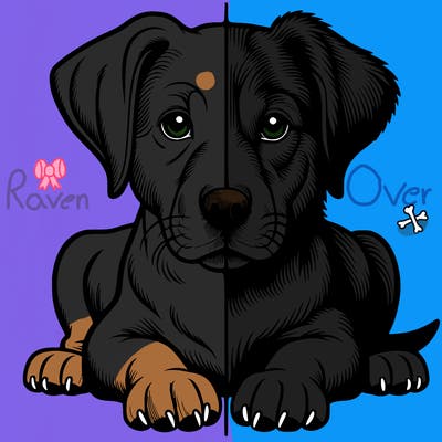 realistic dog split picture