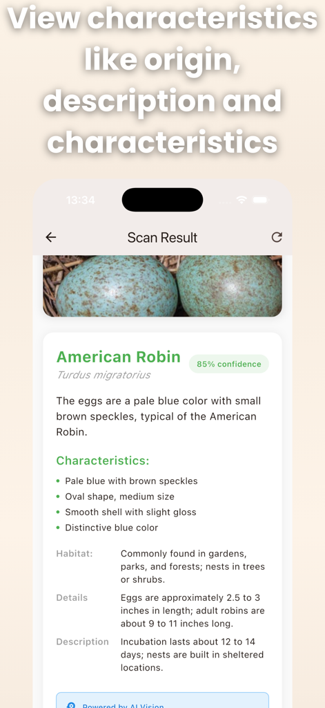 Bird Egg Identifier: AI Scan - A mobile app screenshot showing the identification result of an American Robin egg with species details and characteristics