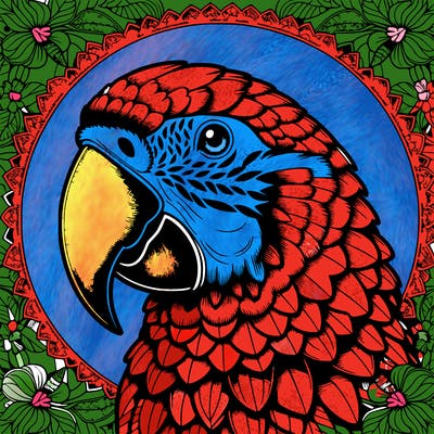 realistic parrot mandala