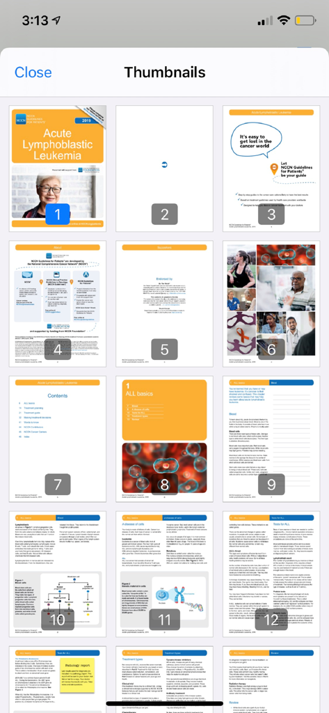 A thumbnail grid view of pages from the Acute Lymphoblastic Leukemia guide within the NCCN Patient Guides app