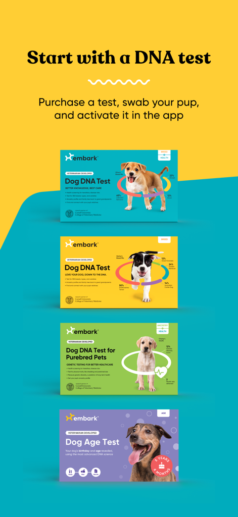 Four Embark Vet dog DNA and age test kits showing various testing options for pet health and breed identification