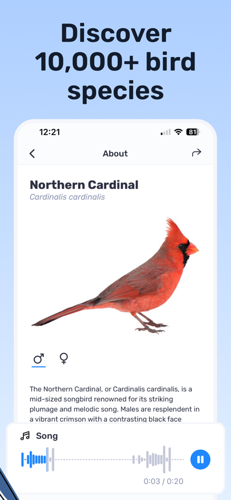 Birda – Birding Made Better - Birdaアプリの画面に、鳥の鳴き声のオーディオプレーヤーが付いたコマドリのプロフィールを表示