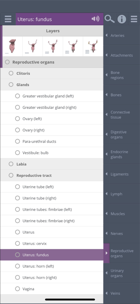 Primal's 3D Female Pelvis - Interface menu listing female reproductive organs for selection in the 3D anatomy app