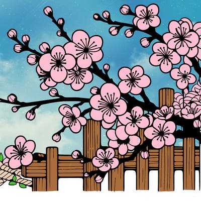 japan cherry blossom