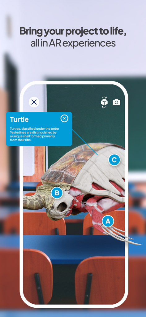 A 3D augmented reality model of a turtle skeleton and muscles displayed on a smartphone in a classroom environment.