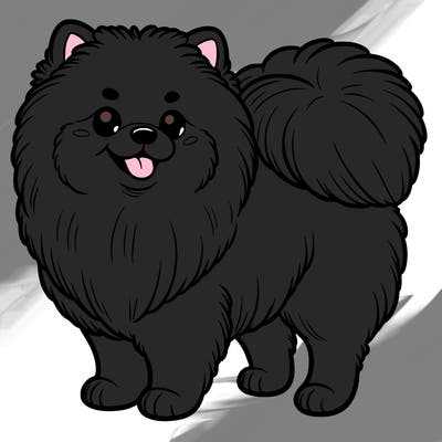 pomeranian