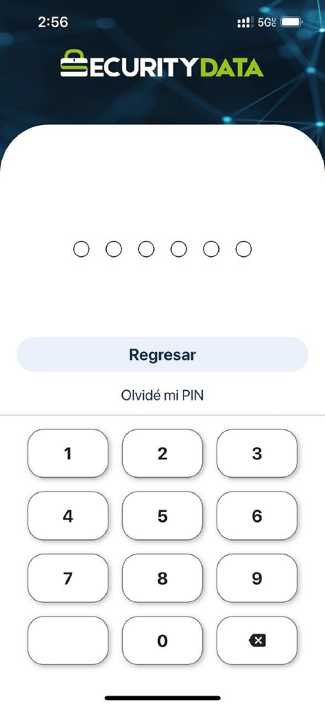 Pantalla de la aplicación Security Data mostrando un teclado numérico para ingresar un PIN de seguridad