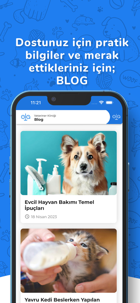 Kolayvet - Kolayvet app blog section featuring pet care articles on grooming and kitten feeding in Turkish