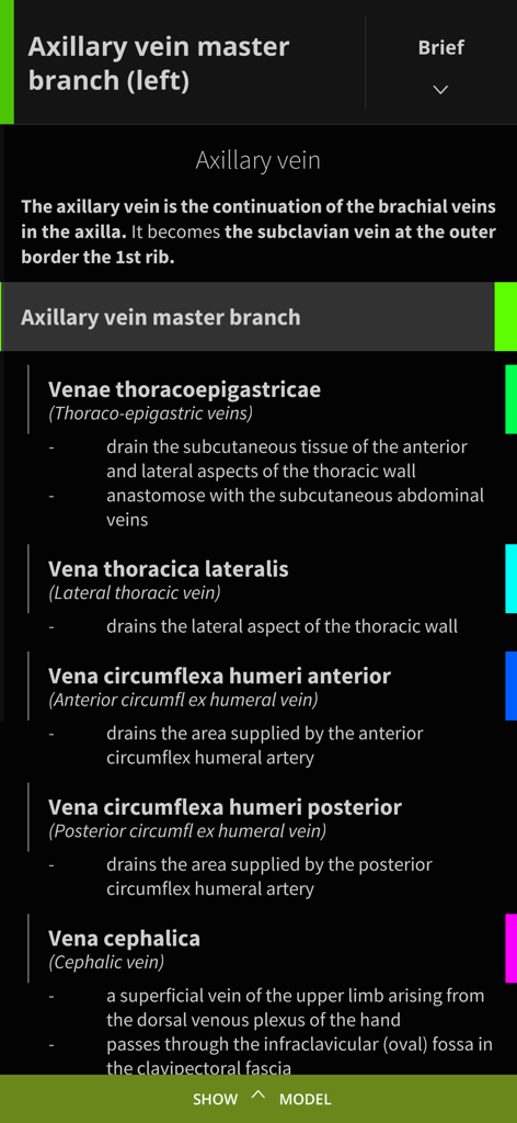 Anatomyka - Anatomical description of the axillary vein master branch with detailed listings of related veins