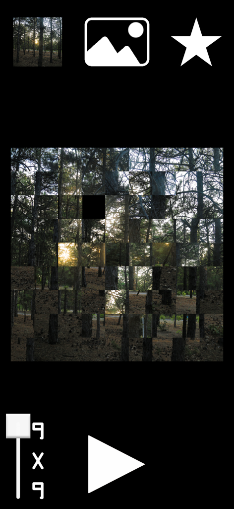 Image Mind Shuffle - A sliding puzzle gameplay screen featuring a scrambled forest image in a 9x9 grid