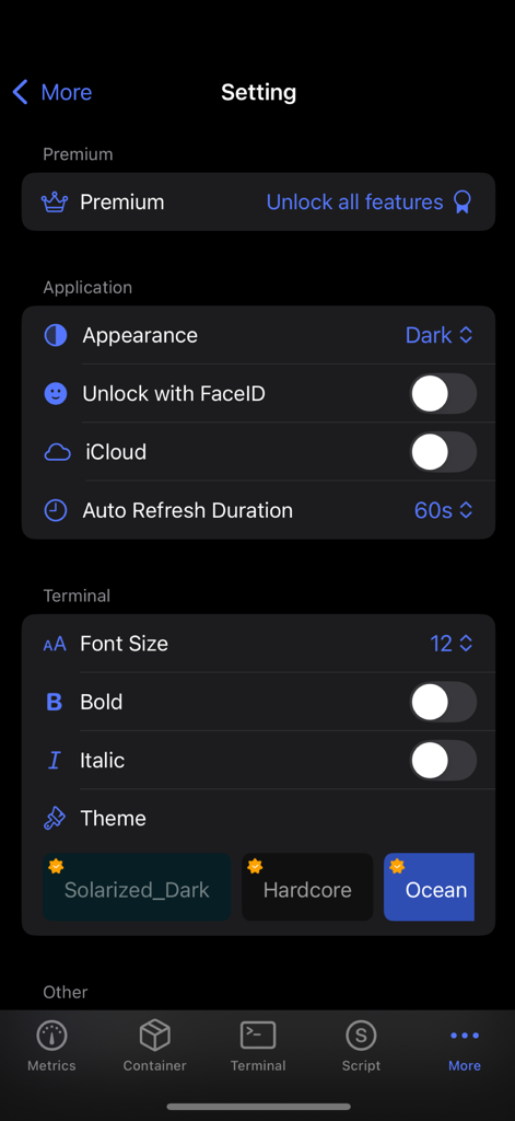 Die Einstellungsansicht der ServerX-App zeigt Optionen zur Anwendungssicherheit und zur Anpassung des Terminalthemas an.