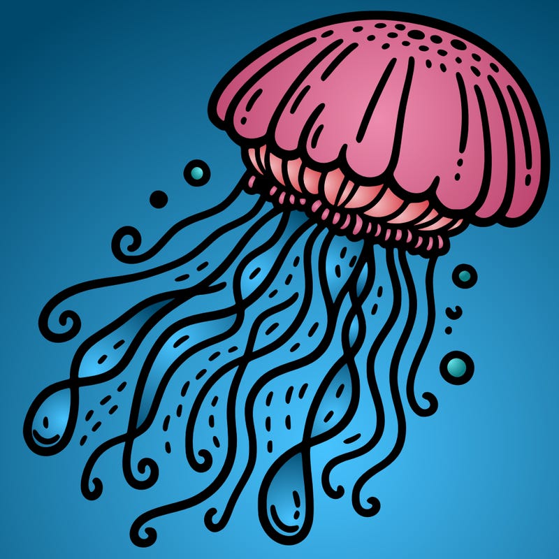 jellyfish