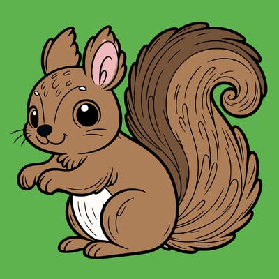 squirrel