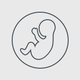 Fetal Weight Calculator