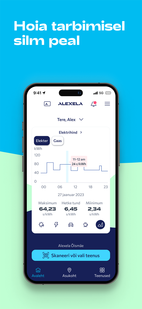 Alexela - Alexela mobile app interface showing a real-time electricity price graph and energy consumption monitoring tools