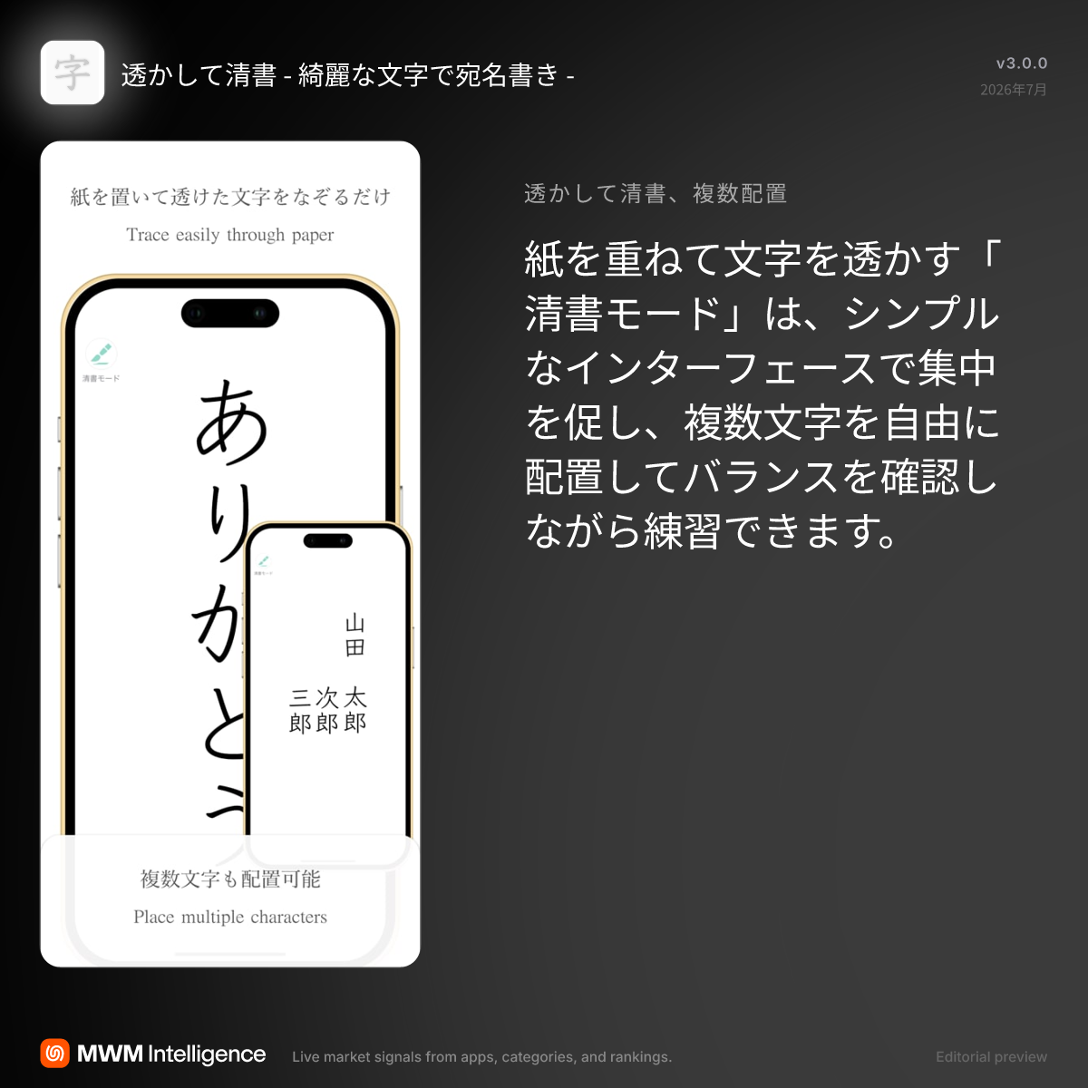 活動歴および当時の関連ビジュアル記録
