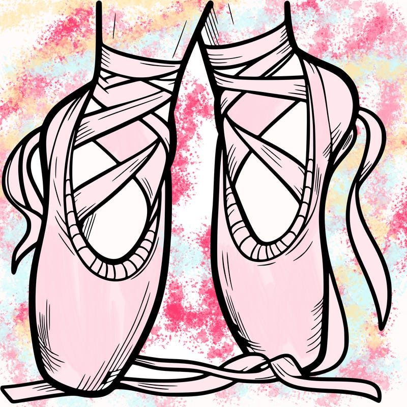 ballet shoes