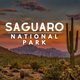 Saguaro National Park Guide